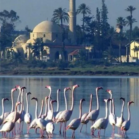 Atlantis Court In Makenzy *